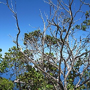 Picture 059